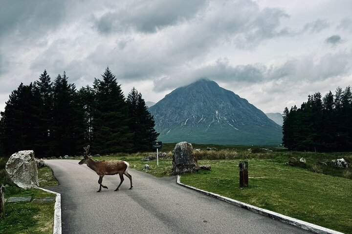 Glencoe and Glen Nevis Private Half Day Tour from Fort William