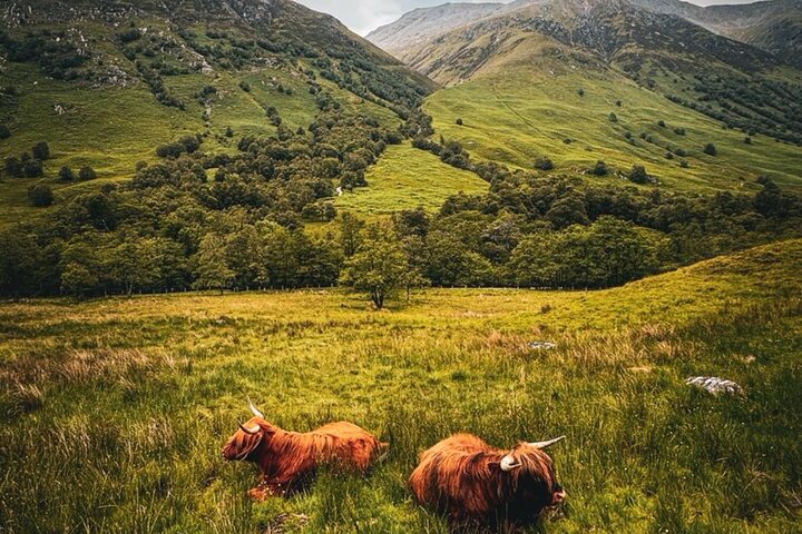 Glencoe and Glen Nevis Private Half Day Tour from Fort William