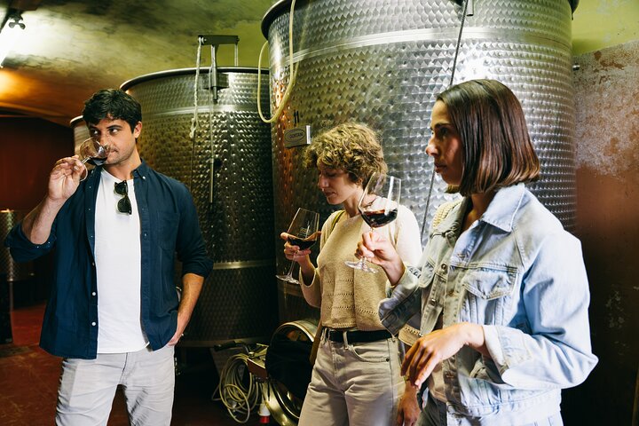 Authentic Piedmont small producers wine tour with a Sommelier