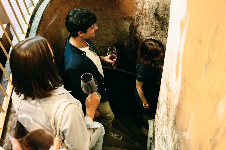 Authentic Piedmont small producers wine tour with a Sommelier