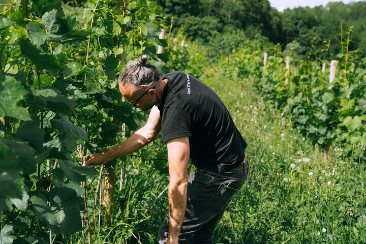 Authentic Piedmont small producers wine tour with a Sommelier