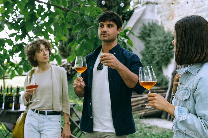 Barolo and Barbaresco Private Wine Tasting Tour