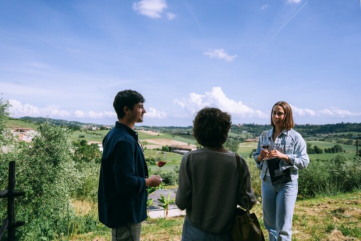 Authentic Piedmont small producers wine tour with a Sommelier