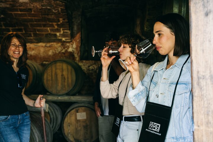 Barolo and Barbaresco Private Wine Tasting Tour