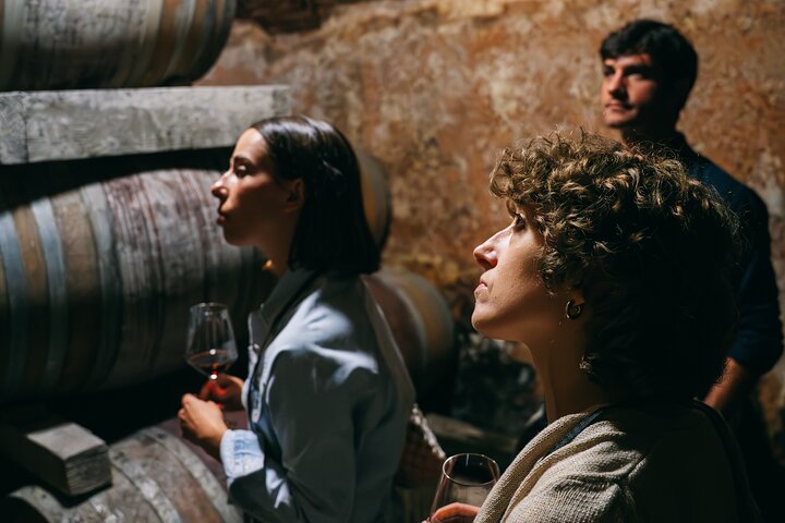 Authentic Piedmont small producers wine tour with a Sommelier