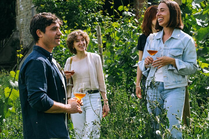 Authentic Piedmont small producers wine tour with a Sommelier