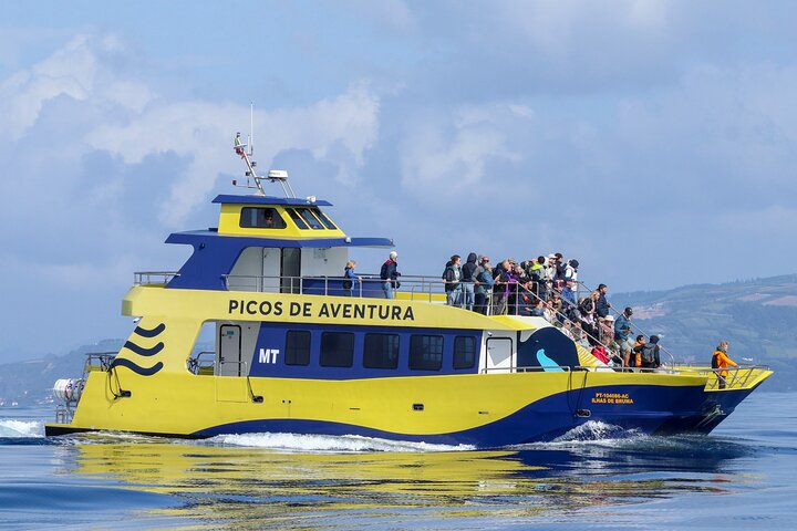Azores Whale Watching Tour – Ponta Delgada