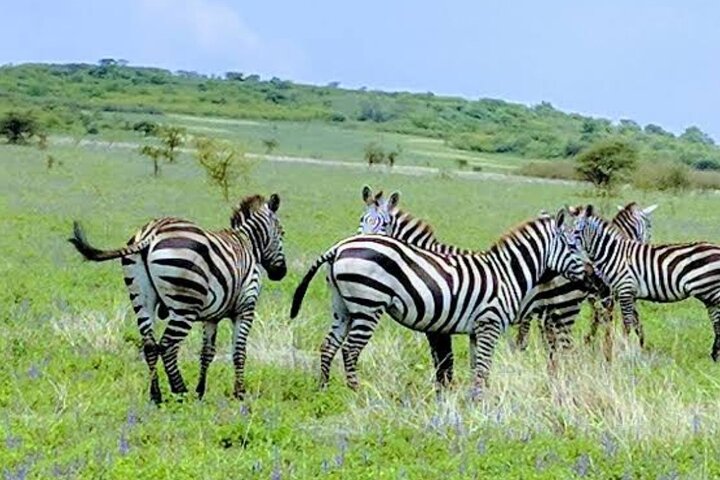 3 days around Arbaminch and Konso Adventure Tours Life Time