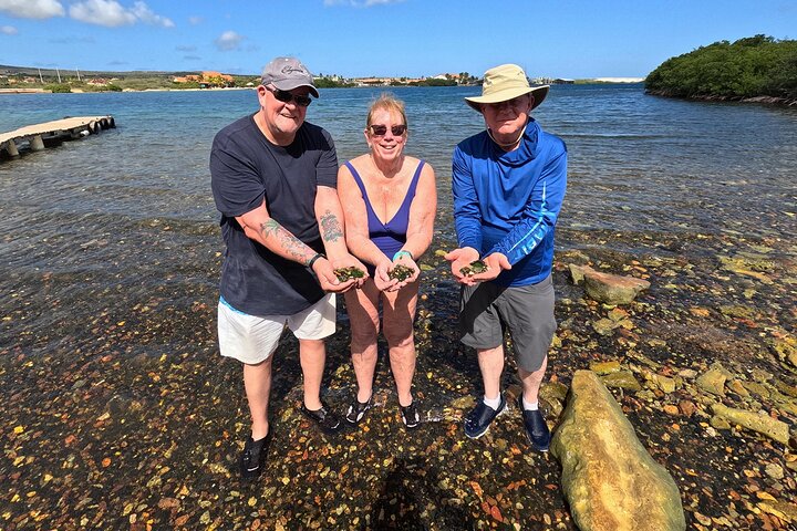 Discover Sea Glass Island: Aruba’s Must-Do Adventure