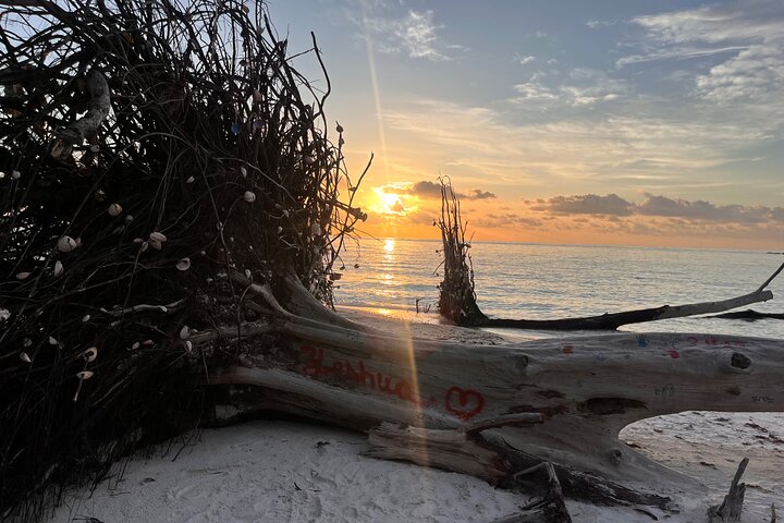Private Anna Maria Island Boat Tour Snorkeling, Dolphins, Sandbar