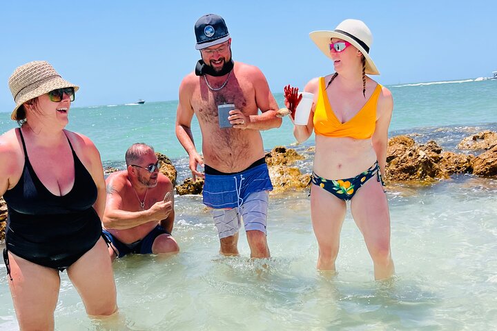 Private Anna Maria Island Boat Tour Snorkeling, Dolphins, Sandbar