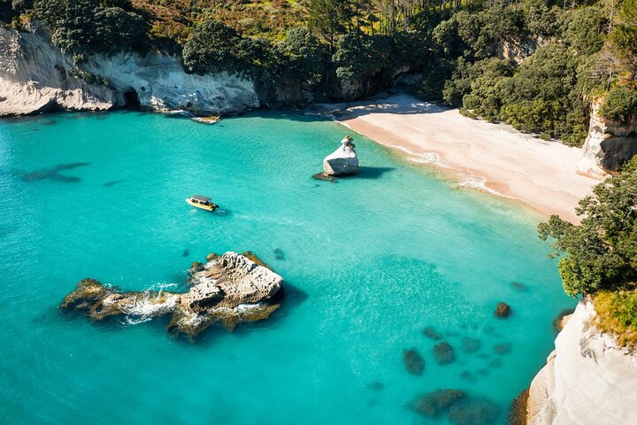 2 Hour Cathedral Cove and Volcanic Coast Cruise with Shade Canopy