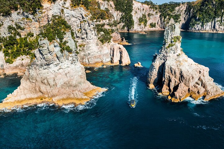 2 Hour Cathedral Cove and Volcanic Coast Cruise with Shade Canopy