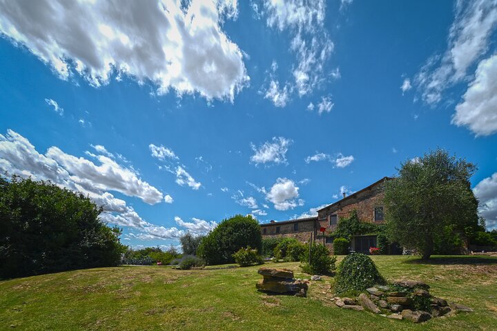 Siena: A Wine Tour and Tasting Experience