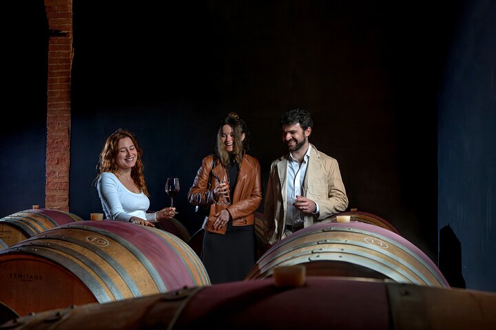 Siena: A Wine Tour and Tasting Experience