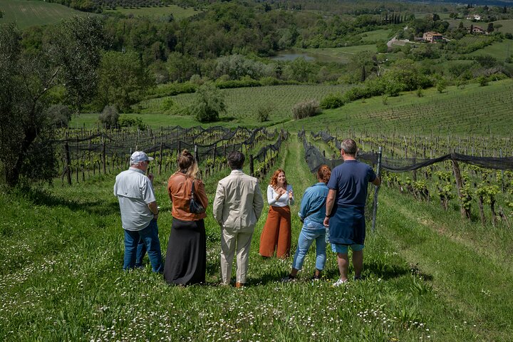 Siena: A Wine Tour and Tasting Experience