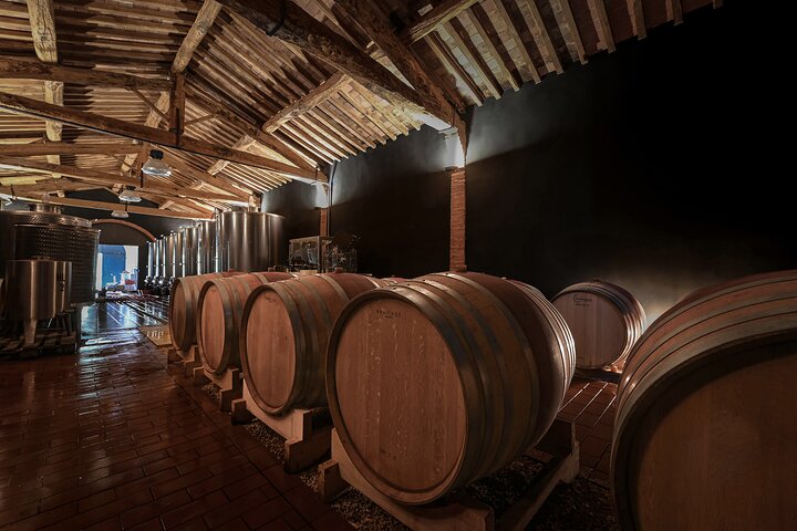 Siena: A Wine Tour and Tasting Experience