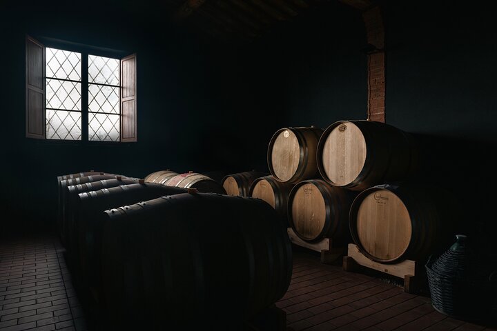 Siena: A Wine Tour and Tasting Experience
