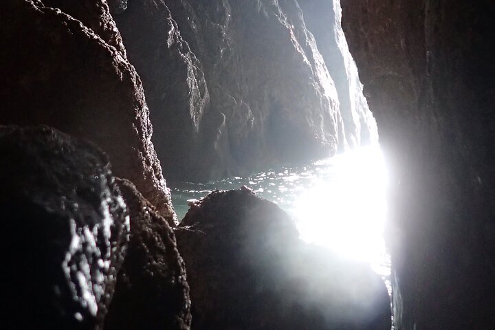 Tenby Coasteering Adventure with expert guides