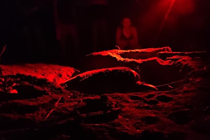 Night tour. Sea turtle nesting