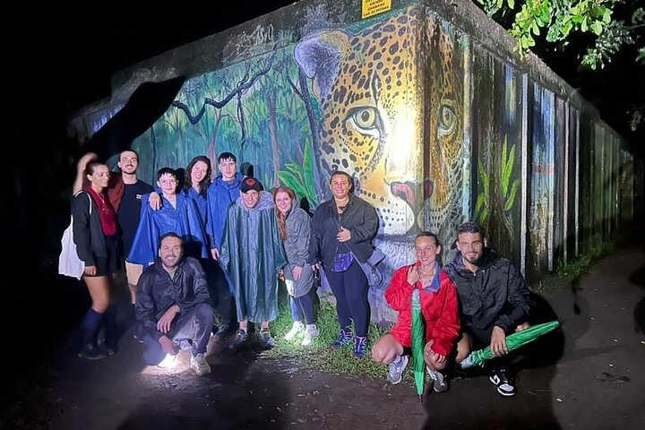 Night tour. Sea turtle nesting