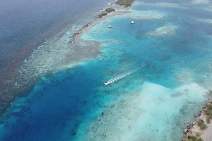 Private Aruba Kayak & Snorkeling Tour + Transortation