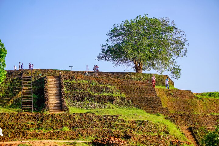 Sigiriya Hike & Minneriya Safari Private Full Day Tour