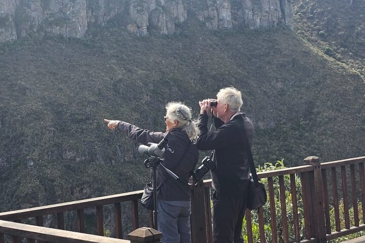 Antisana Condor Sanctuary & Hummingbird Observatory day trip