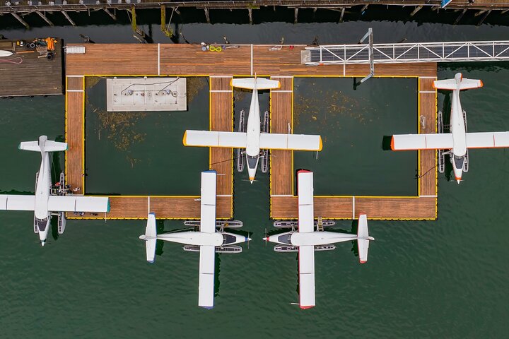 5-Glacier Seaplane Exploration