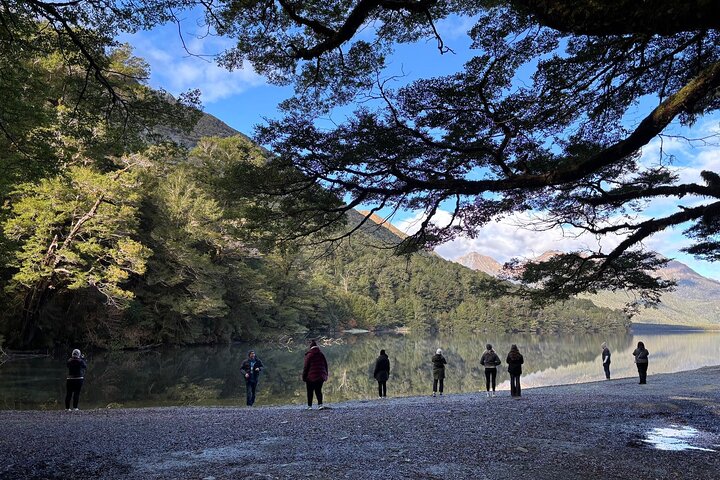 Premium Milford Sound Small Group Tour & Cruise from Queenstown