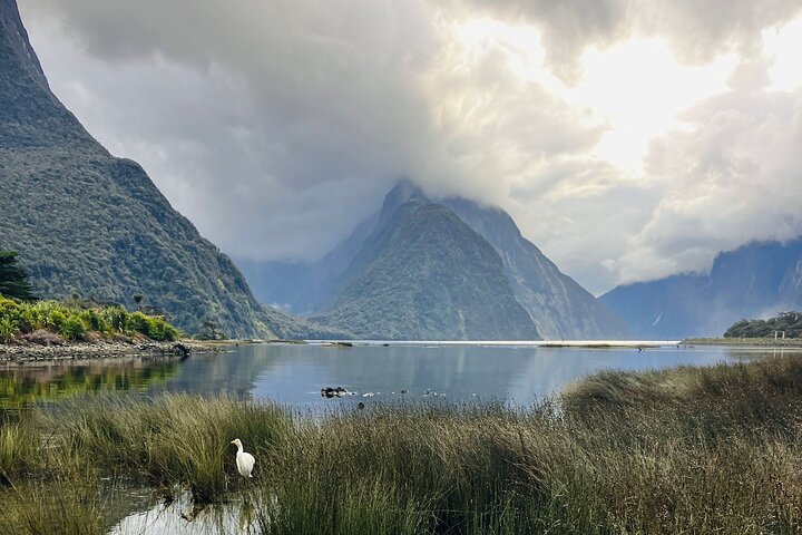 Premium Milford Sound Small Group Tour & Cruise from Queenstown