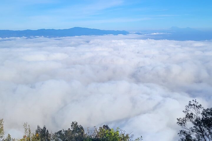 4-Day Guided Usambara Mountains Trek to Mtae