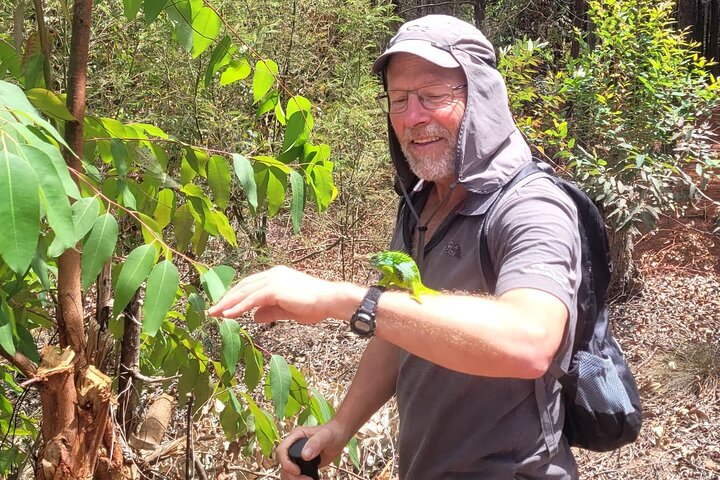 4-Day Guided Usambara Mountains Trek to Mtae