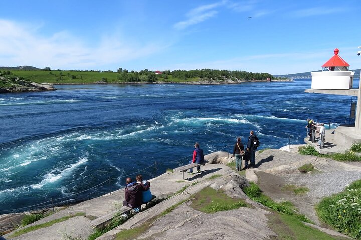 Magical Saltstraumen Tour