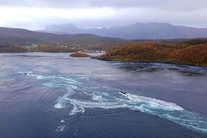Magical Saltstraumen Tour