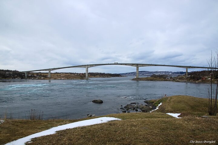 Magical Saltstraumen Tour