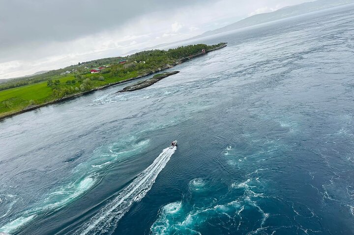 Magical Saltstraumen Tour