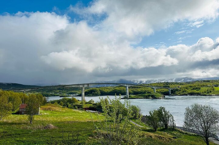 Magical Saltstraumen Tour