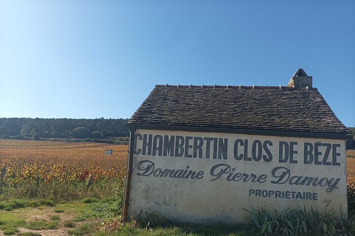 Private Tour in Beaune with Official Tour Guide