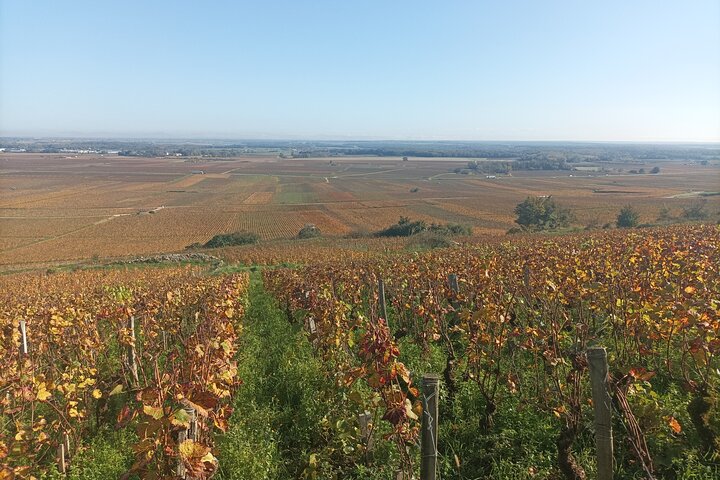 Private Tour in Beaune with Official Tour Guide