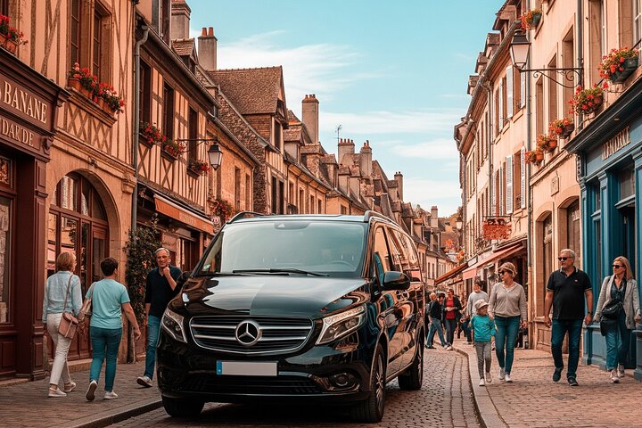Private Tour in Beaune with Official Tour Guide