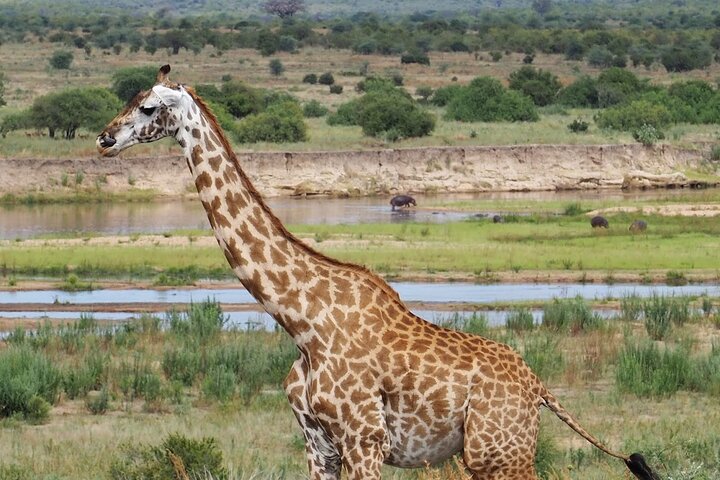 1. Day safaris to Mikumi by Train from dar es salaam