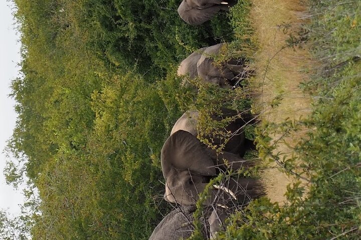 1. Day safaris to Mikumi by Train from dar es salaam