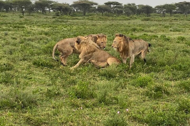 1. Day safaris to Mikumi by Train from dar es salaam