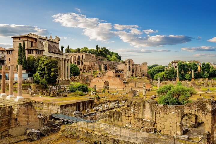 Colosseum, Roman Forum & Palatine Hill Guided Tour