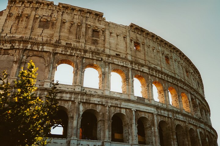 Colosseum, Roman Forum & Palatine Hill Guided Tour