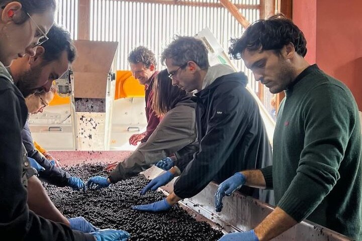 Discover Clos Systey Organic and Biodynamic Wines