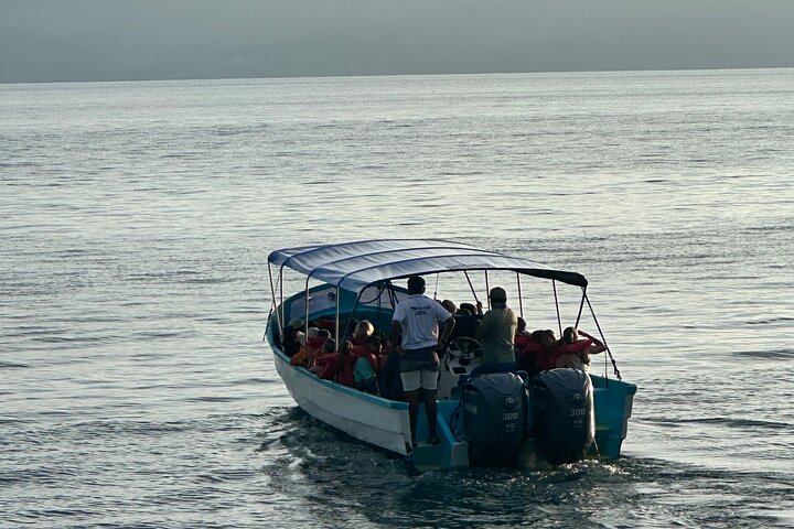 Corcovado National Park Sirena Day Tour From Puerto Jimenez