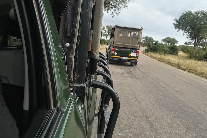 Kruger National Park Morning Safari Experience (Minimum 2 Peope)