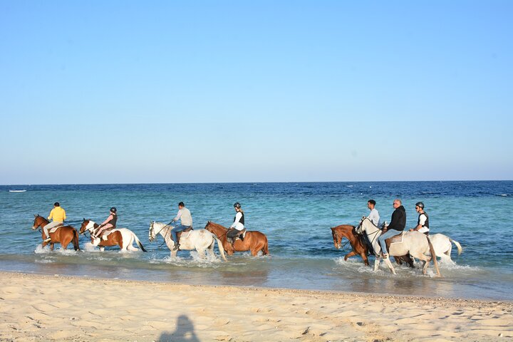 Horseback Riding Adventure in Marsa Alam